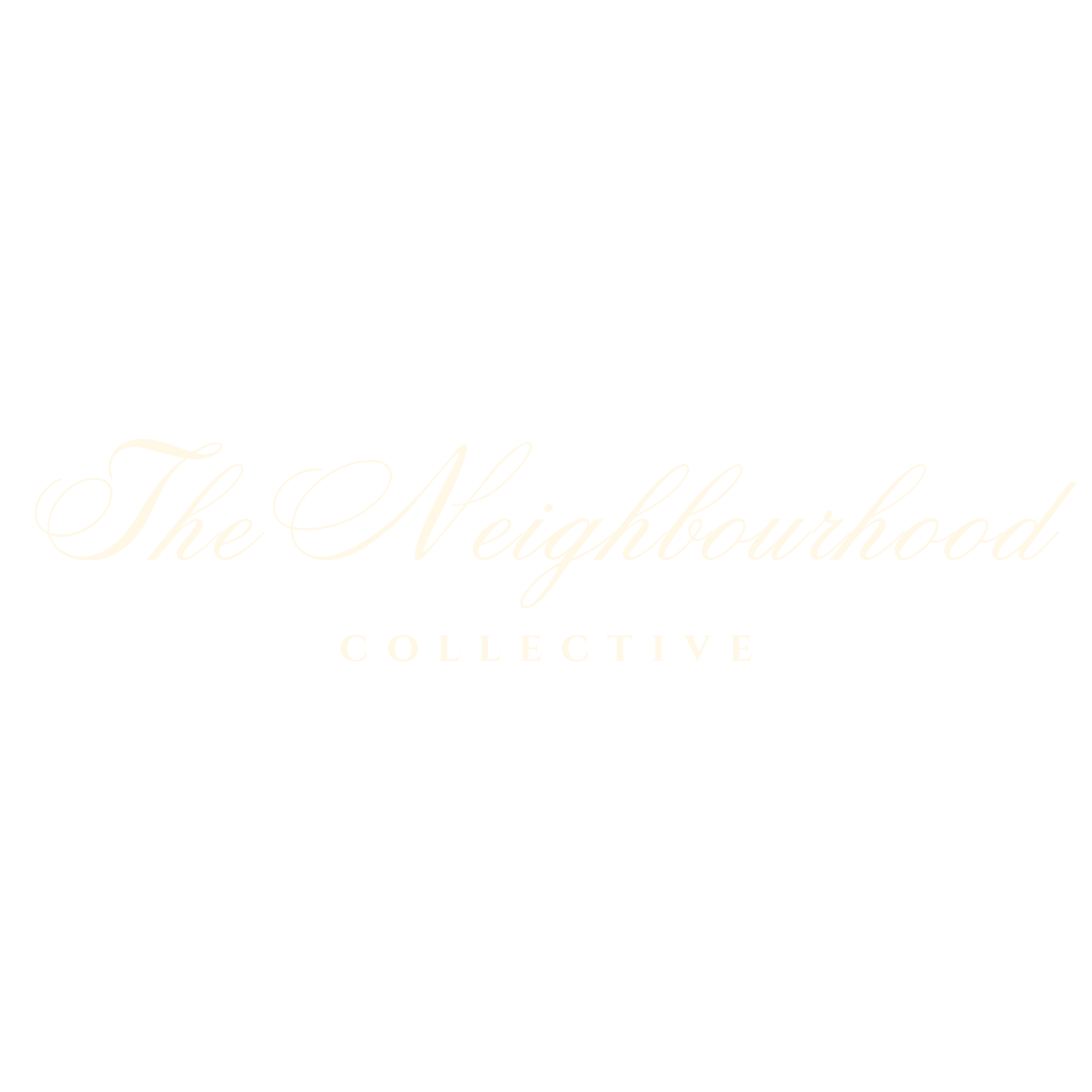 The Neighbourhood Collective